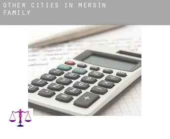 Other cities in Mersin  family