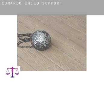 Cunardo  child support