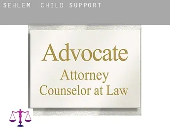 Sehlem  child support