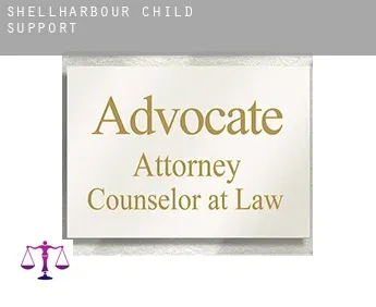 Shellharbour child support
