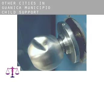 Other cities in Guanica Municipio  child support