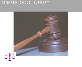 Timóteo  child support