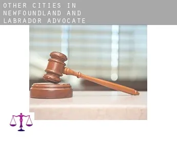 Other cities in Newfoundland and Labrador  advocate