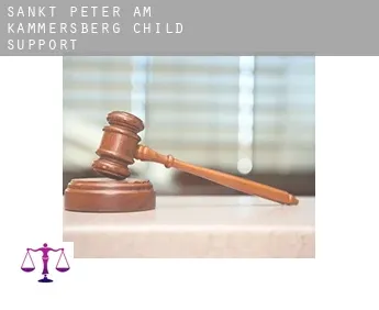 Sankt Peter am Kammersberg  child support