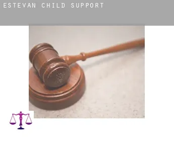 Estevan  child support