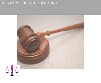 Surrey  child support