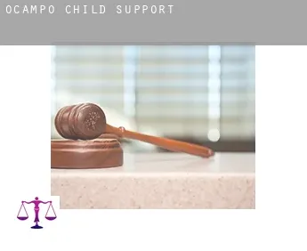 Ocampo  child support