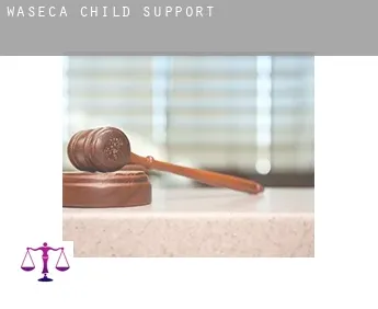 Waseca  child support