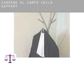 Cardano al Campo  child support