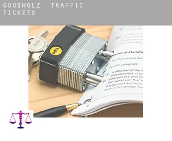 Goosholz  traffic tickets