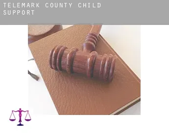Telemark county  child support