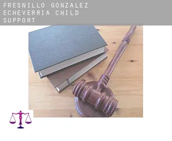 Fresnillo de González Echeverría  child support