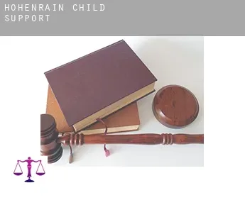 Hohenrain  child support