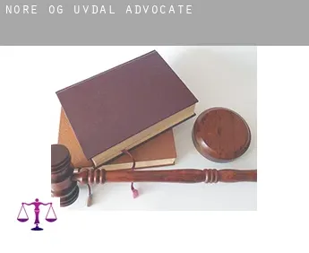 Nore og Uvdal  advocate