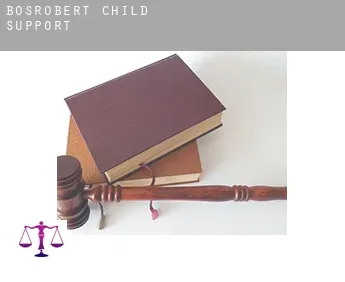 Bosrobert  child support