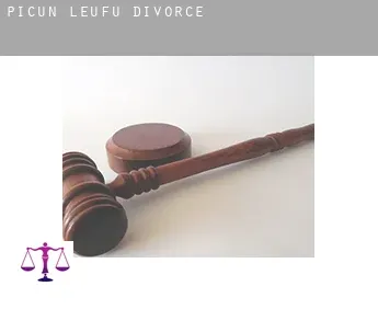 Departamento de Picún Leufú  divorce