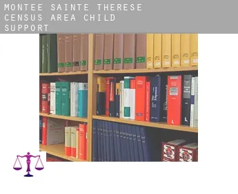 Montée-Sainte-Thérèse (census area) child support