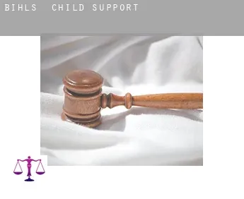 Bihls  child support