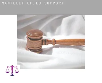 Mantelet  child support