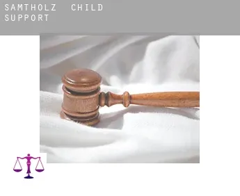 Samtholz  child support