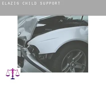 Elazığ  child support