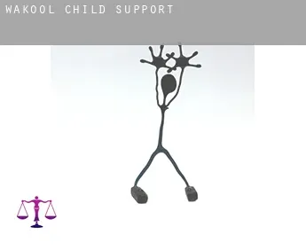 Wakool child support