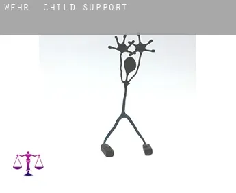 Wehr  child support