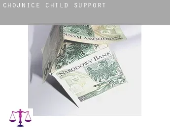 Chojnice  child support