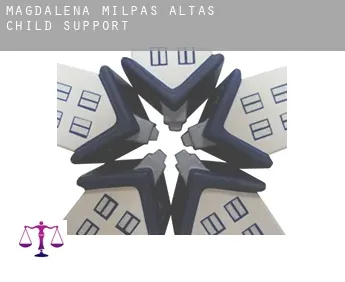 Magdalena Milpas Altas  child support