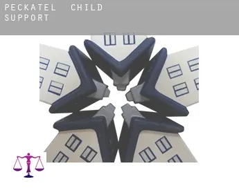 Peckatel  child support