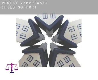 Powiat zambrowski  child support