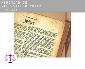 Merindad de Valdivielso  child support