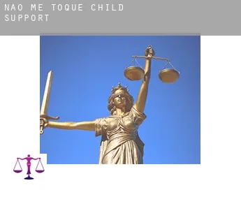 Não-Me-Toque  child support