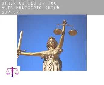Other cities in Toa Alta Municipio  child support