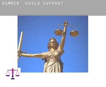 Sumner  child support