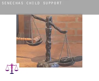 Sénéchas  child support