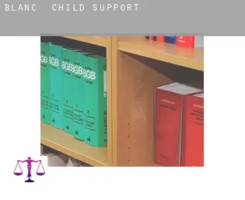 Blanc  child support