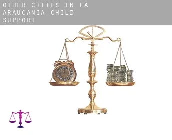 Other cities in la Araucania  child support