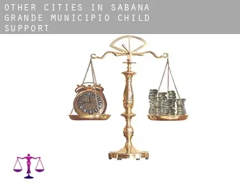 Other cities in Sabana Grande Municipio  child support