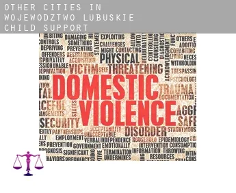 Other cities in Wojewodztwo Lubuskie  child support
