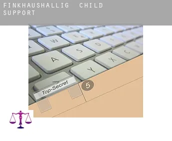 Finkhaushallig  child support
