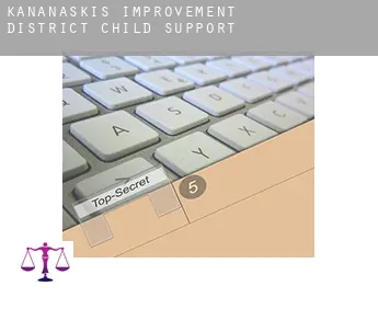 Kananaskis Improvement District  child support