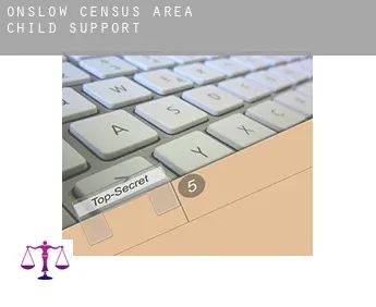 Onslow (census area)  child support