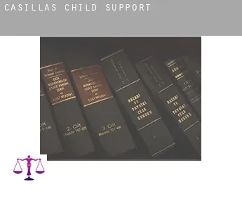 Casillas  child support