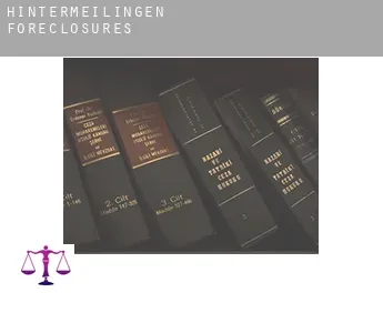 Hintermeilingen  foreclosures
