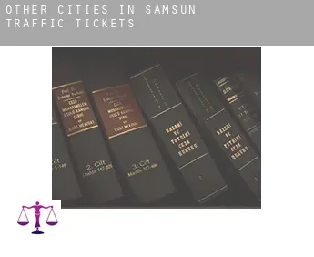 Other cities in Samsun  traffic tickets