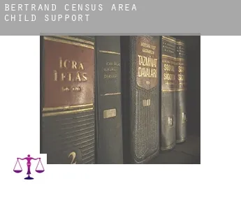 Bertrand (census area)  child support