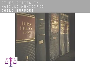 Other cities in Hatillo Municipio  child support