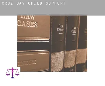 Cruz Bay  child support