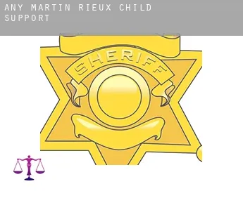 Any-Martin-Rieux  child support